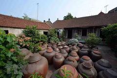 UNESCO helps Hanoi uphold cultural heritage values 