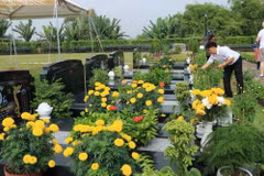 Tomb-sweeping tradition observed in Vietnam 