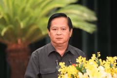 Former HCM City vice chairman arrested