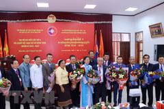 Association promotes solidarity among Vietnamese in Laos 