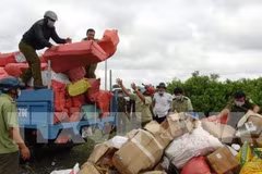 Long An reduces number of smuggling, trade fraud cases
