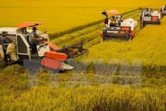 Party resolution brings remarkable changes in agriculture, rural areas