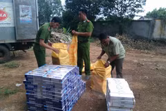 Cigarette smuggling remains unabated