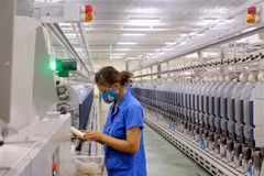 Processing – major contributor to Vietnam’s economy