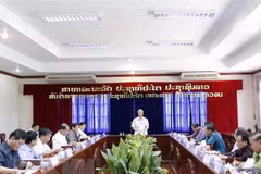 Vietnamese senior officials visit Vientiane