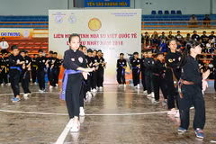 First festival of Vietnam’s martial arts wraps up