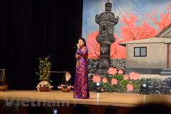 Art performance raises funds for Vietnamese pagoda in Japan 