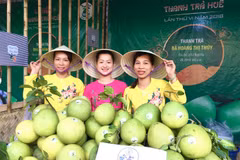 Thua Thien-Hue specialty pomelo is festival highlight