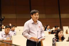 NA issues 16th communiqué of sixth session