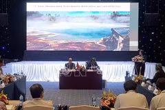Hungary helps Phu Yen exploit hot springs 