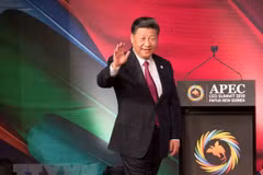 Chinese leader urges APEC members to work towards open global economy 