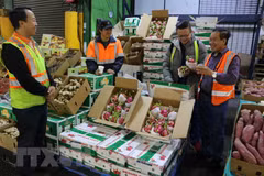 Agricultural sector asked to better meet market demands