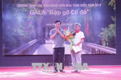 Ceremony honouring outstanding blood donors held in Ninh Binh