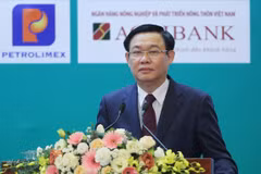 Vietnam proactively integrates into global economy: Deputy PM