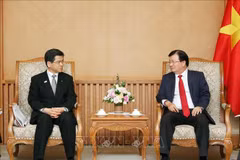 Deputy PM calls for Japanese investment in automobile, energy 