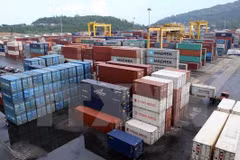 Da Nang Port handles over 774,000 tonnes of cargo in June