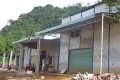Another mild quake recorded in Quang Nam province 