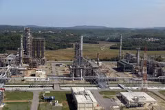 SOEs under trade ministry to be inspected