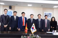 Vietnam, RoK share experience in communications development, education