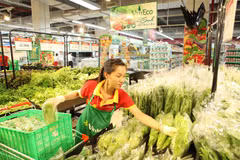 Vietnamese billionaires vow to boost agricultural development