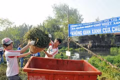 HCM City raises environmental protection, parking fees