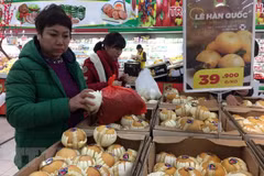 Korean SMEs’ exports to Vietnam soar in 2017