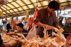 China allows import of Thai chicken meat