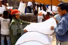 Rice aid approved to support disadvantaged residents on Tet