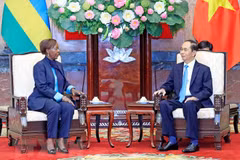 Vietnam looks to deepen relations with Rwanda, Guinea