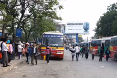 Minibus - good solution for current traffic problem: experts