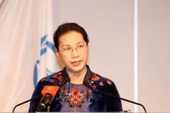 Vietnam calls for stronger cooperation to solve migration crises