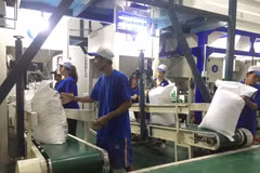Vietnam rice exports notch volatile in Q1
