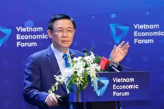 Forum discusses solutions to expand capital-financial market