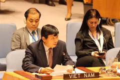 Vietnam attends UN First Committee’s debate on conventional weapons