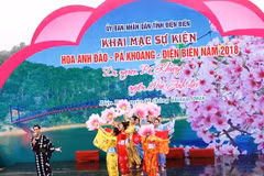 Dien Bien hosts first cherry blossom festival 