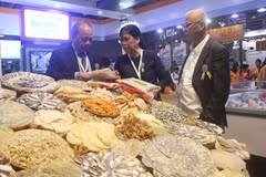 Vietnam fisheries int’l exhibition opens in HCM City