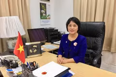 Vietnam, Singapore develop strategic partnership 