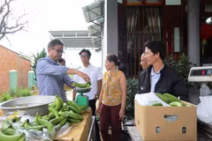 Lam Dong exports Laba banana to Japan