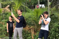 Vietnam serves nearly 8 million foreign tourists in H1