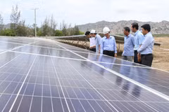 Seminar looks into challenges to renewable energy development