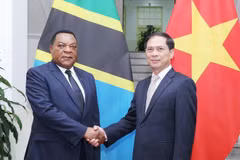 Vietnam treasures cooperative ties with Tanzania: Deputy FM