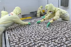 Minister urges fisheries development to base on three pillars