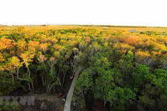 Forum spotlights partnership in biodiversity protection