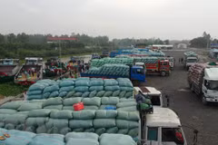 Vietnamese, Chinese localities enhance border customs cooperation