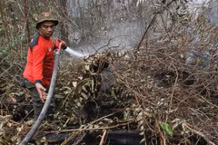Indonesia declares emergency following forest fire 