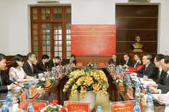 Vietnam, China court sectors enhance collaboration