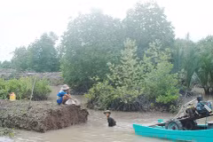 First soil bank in Mekong Delta 
