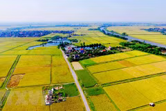 Agricultural land use market needs updated legal framework