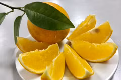 Cao Phong orange to be served on board Vietnam Airlines flights