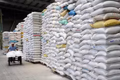 Vietnamese rice exports to Malaysia soar over last five months